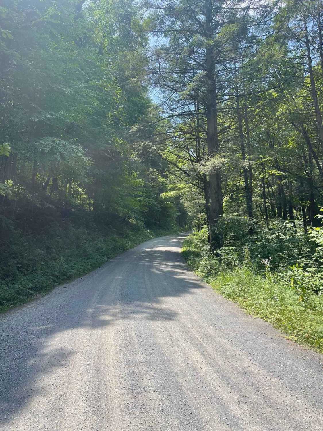 McCall Dam Road