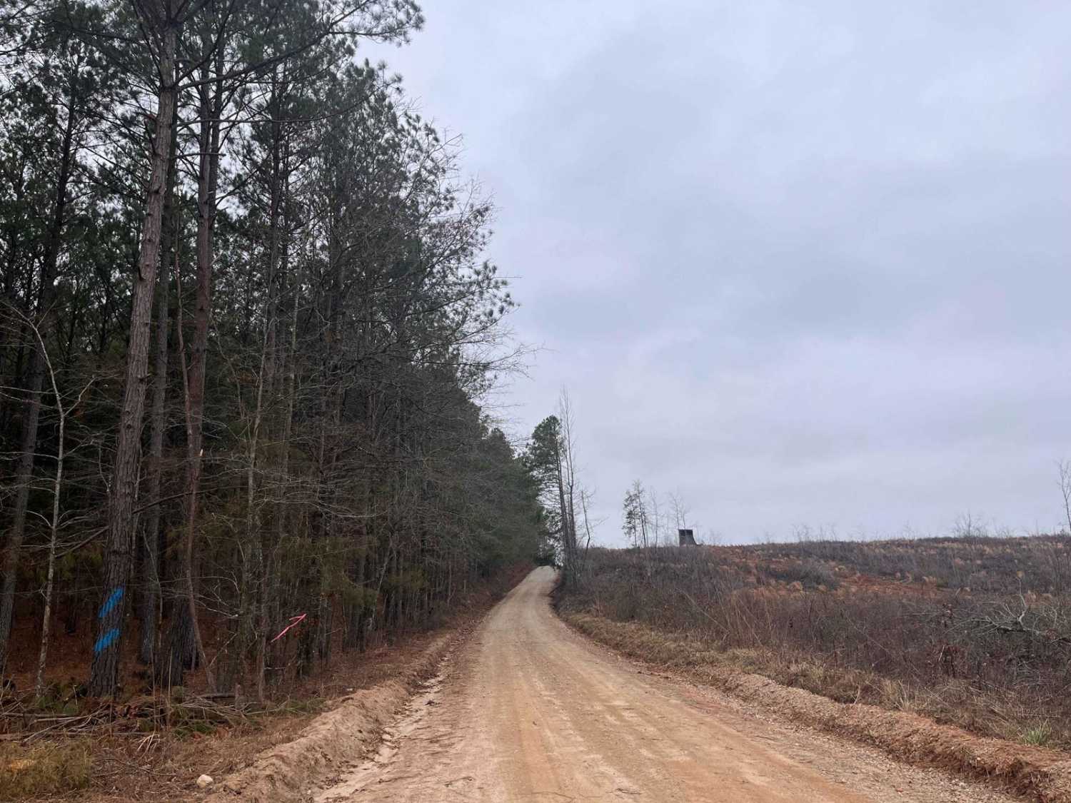 Old Charleston Road