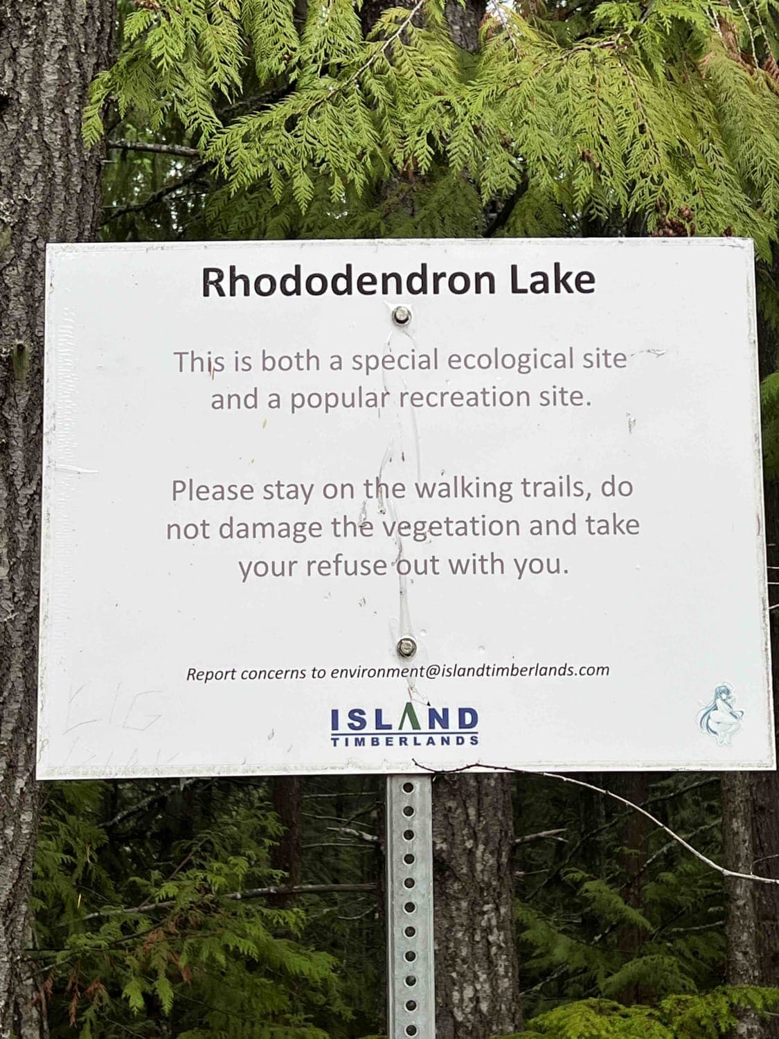 Rhododendron Lake Ecological Site