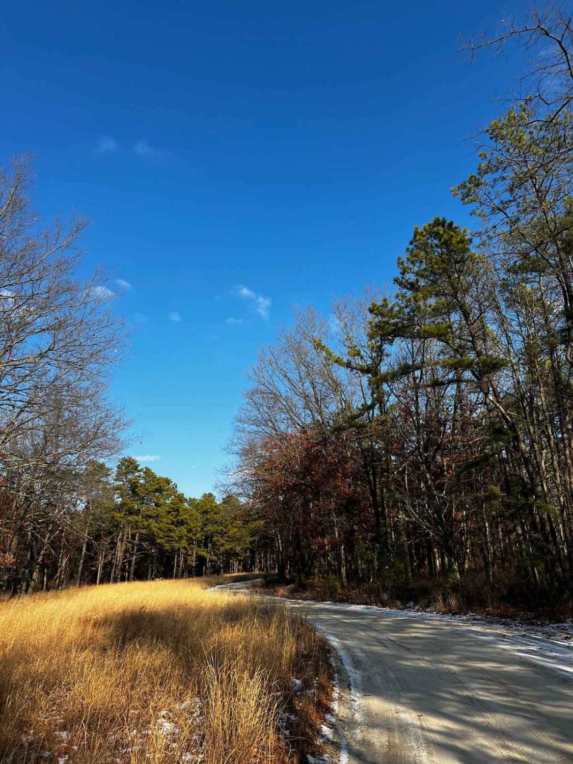 Webb Mill Road to 539