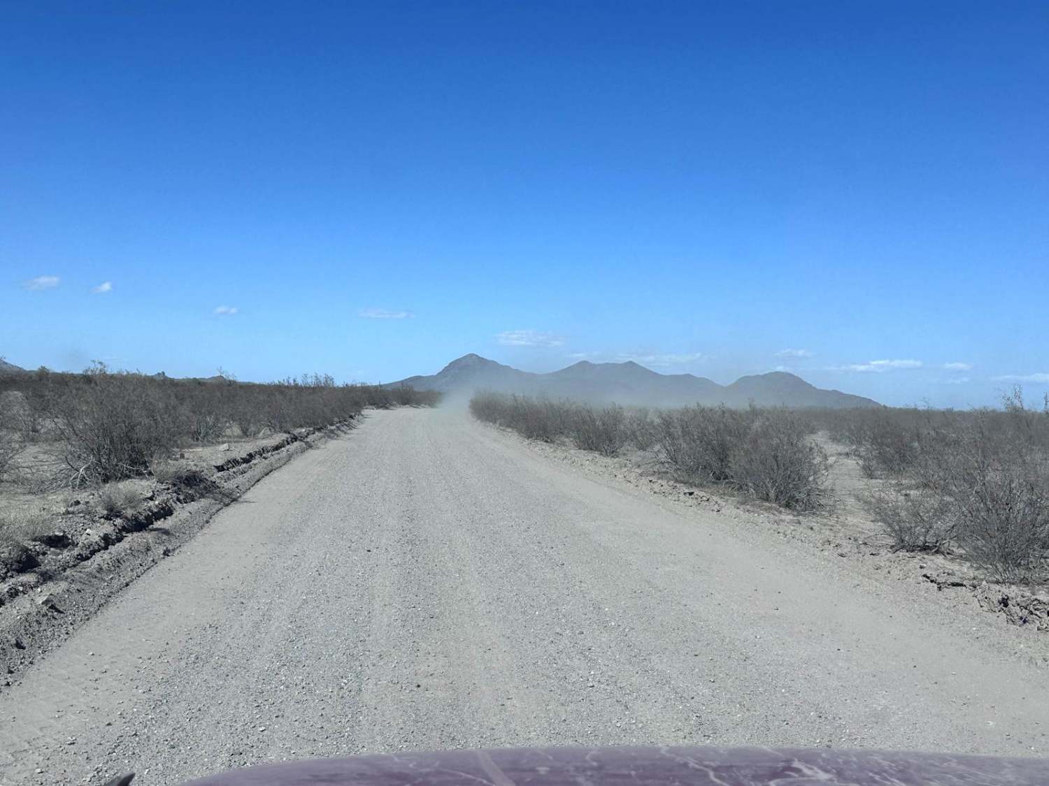 El Camino Del Diablo (Organ Pipe Cactus)