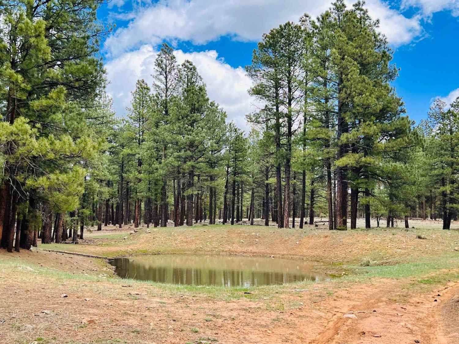 Long Valley West