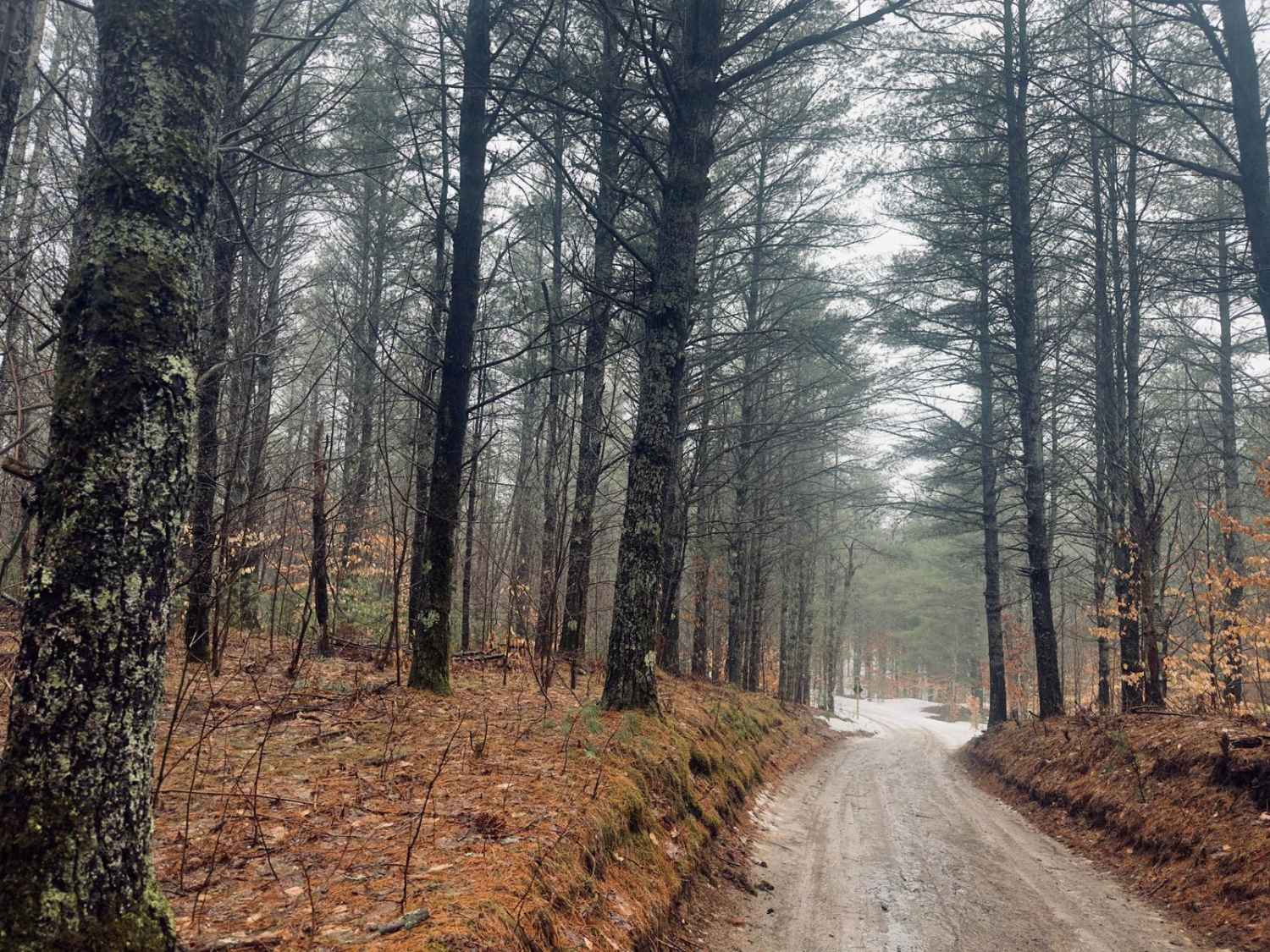 Traverse Trail- LP55