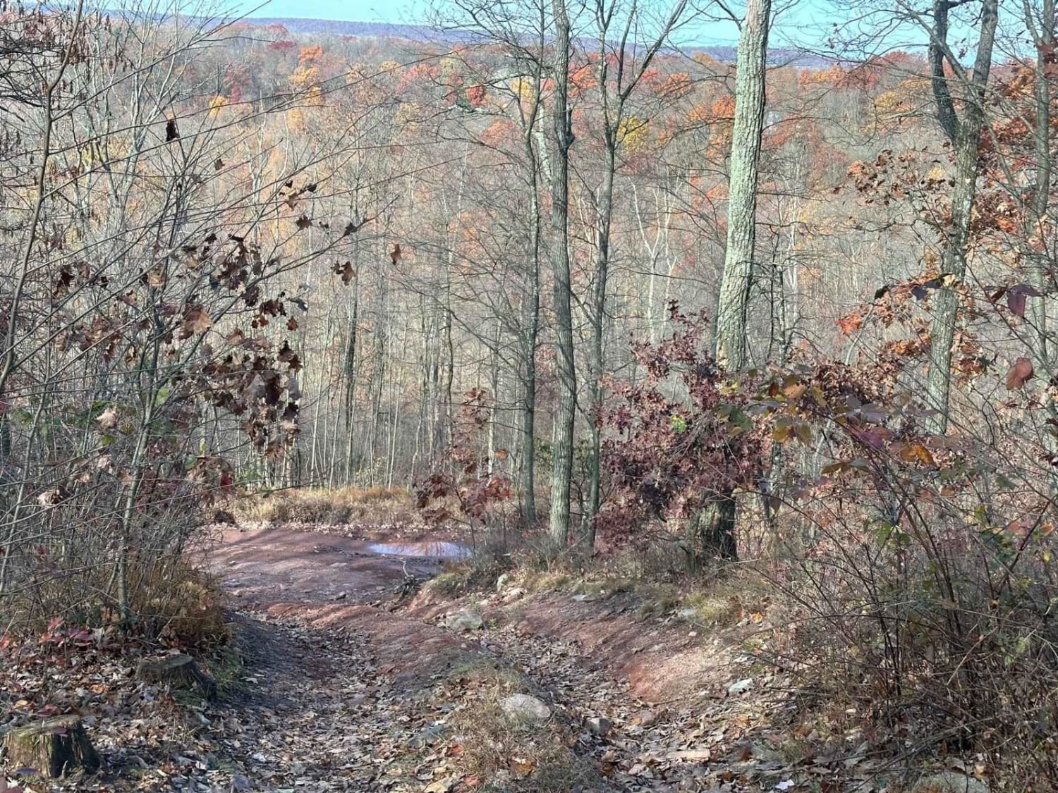 Hills