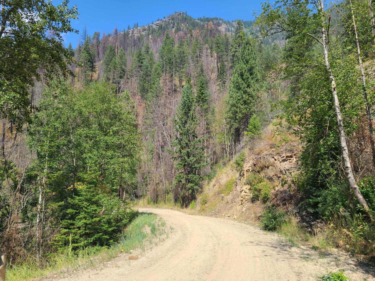 Ball Creek
