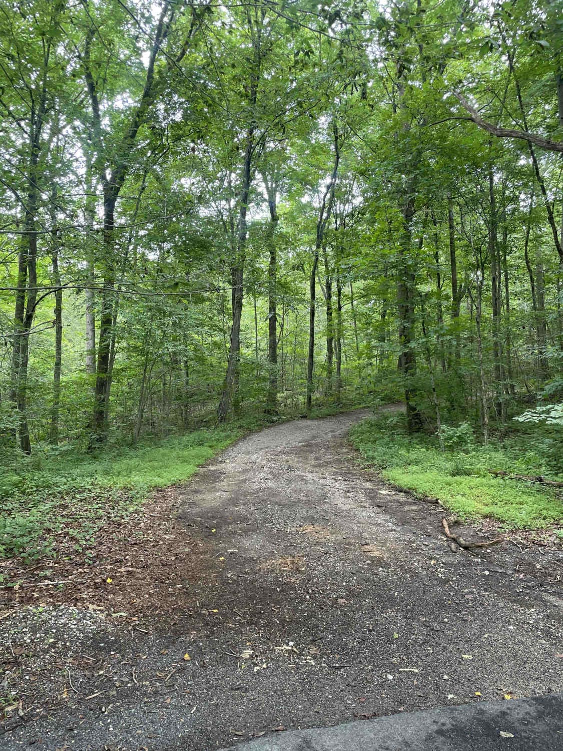 Tower Hill Road to Spruce Ledge Road 