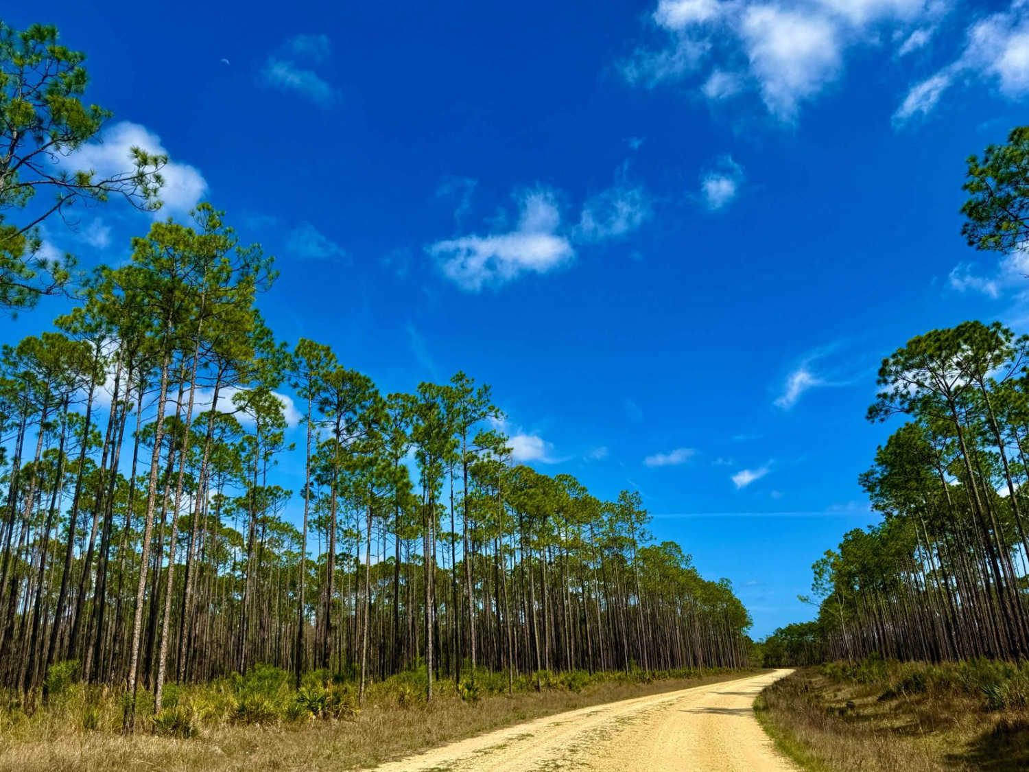 Forest Highway 13 East