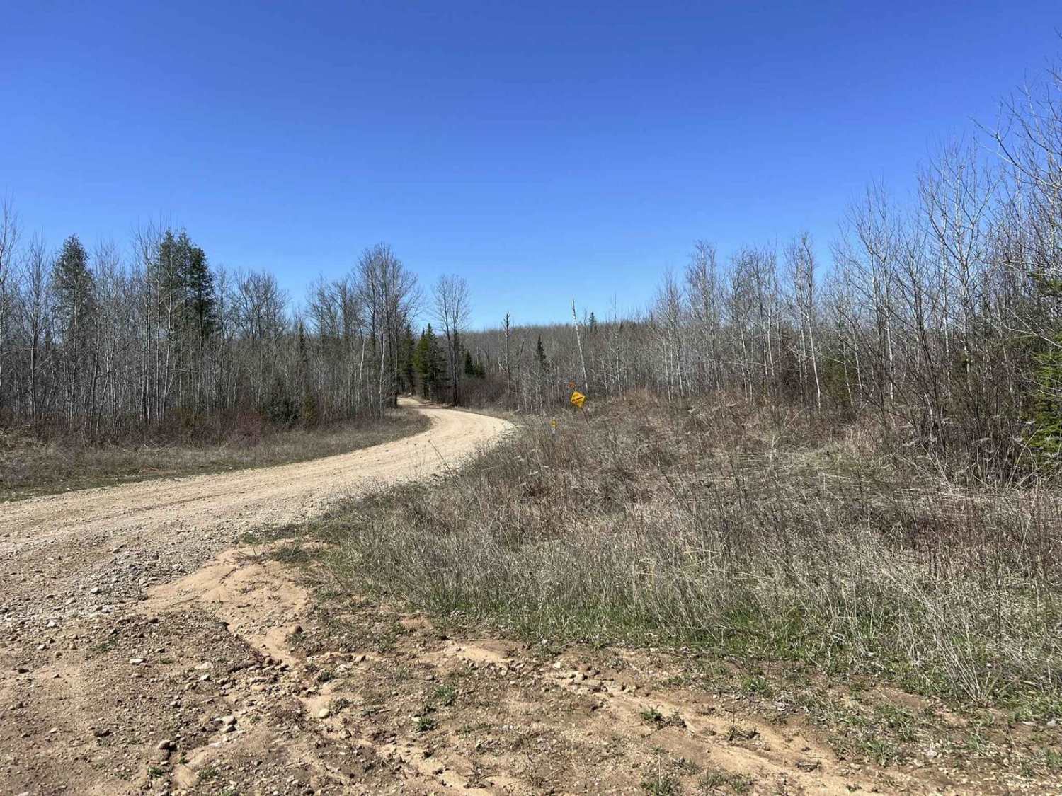 Black Creek Trail/ FR N3015