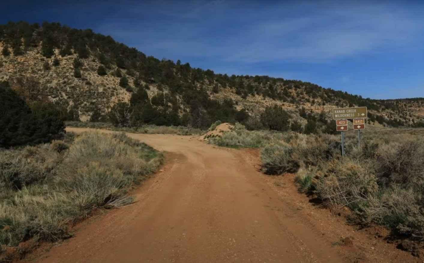 Snake Gulch - FR642