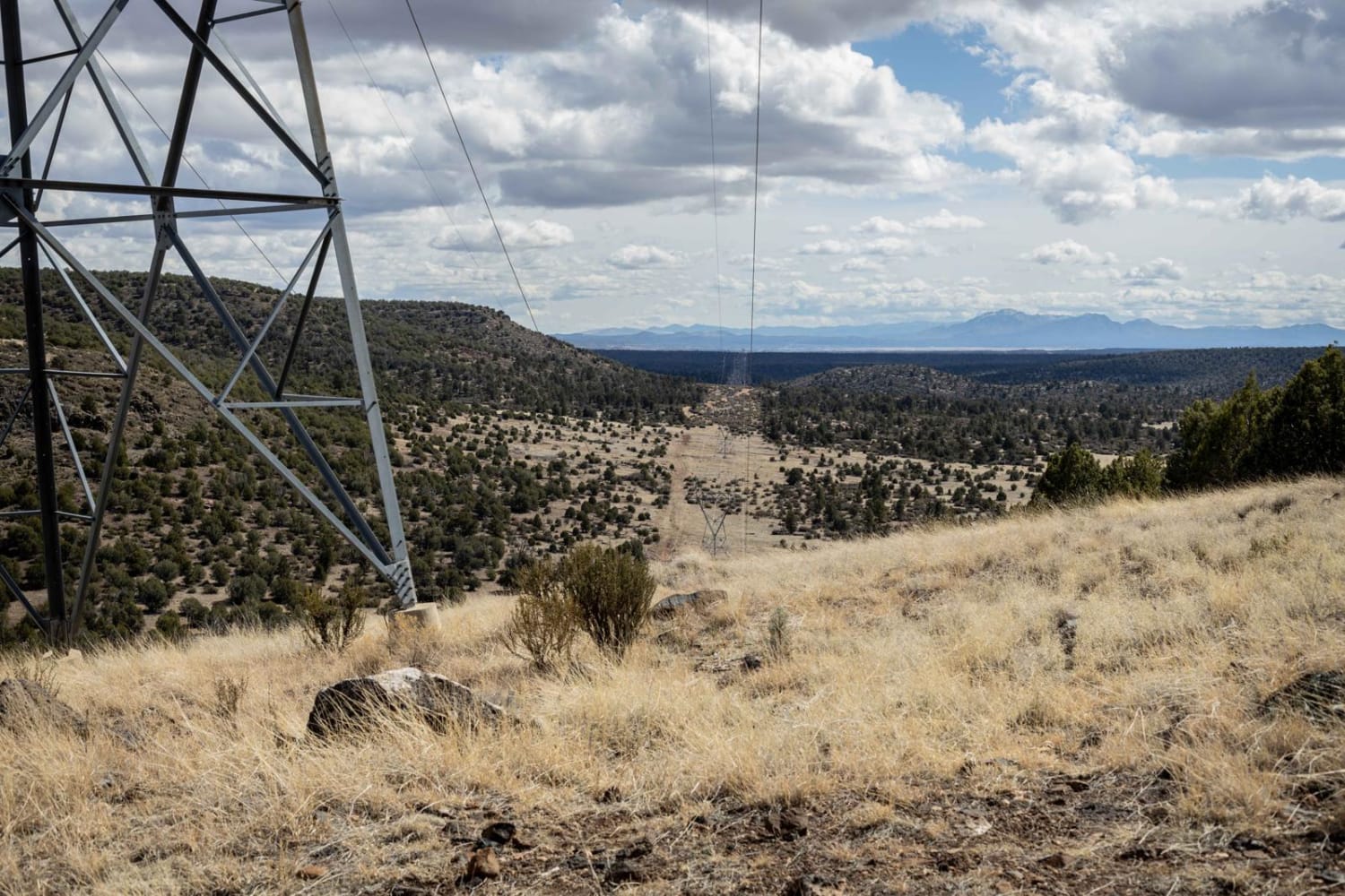 Powerline Problem