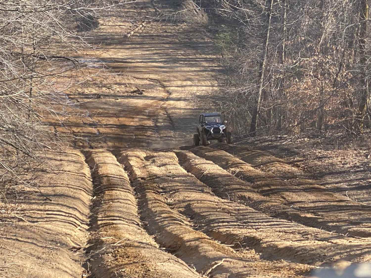 Lickfork Branch Hill