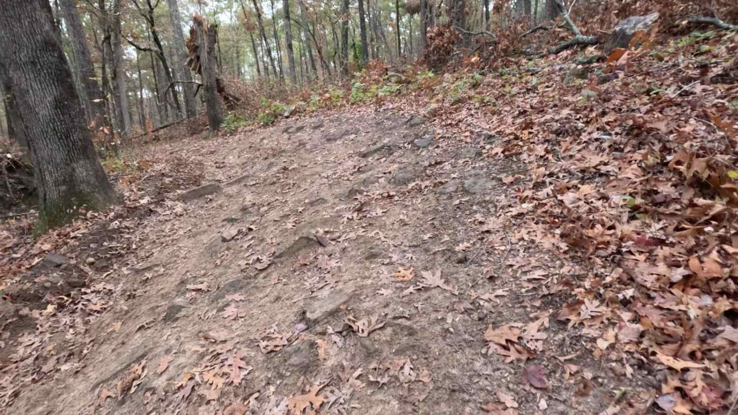 Logging Bank Trail (FSR #94449B)