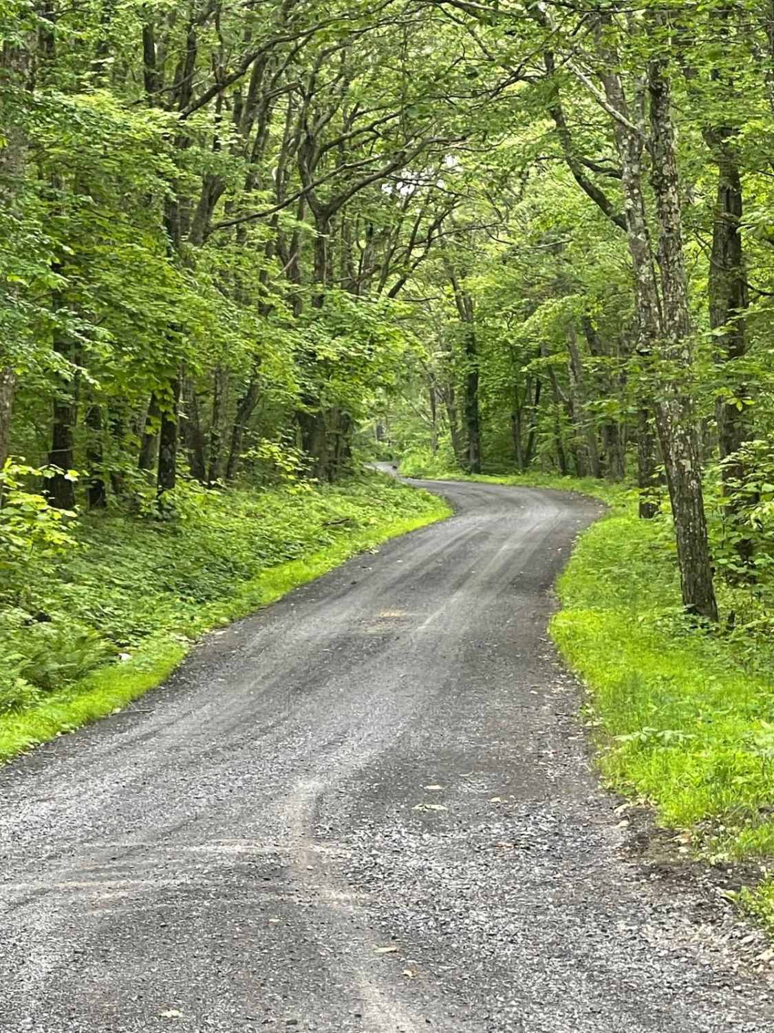 Kalbfleish Road