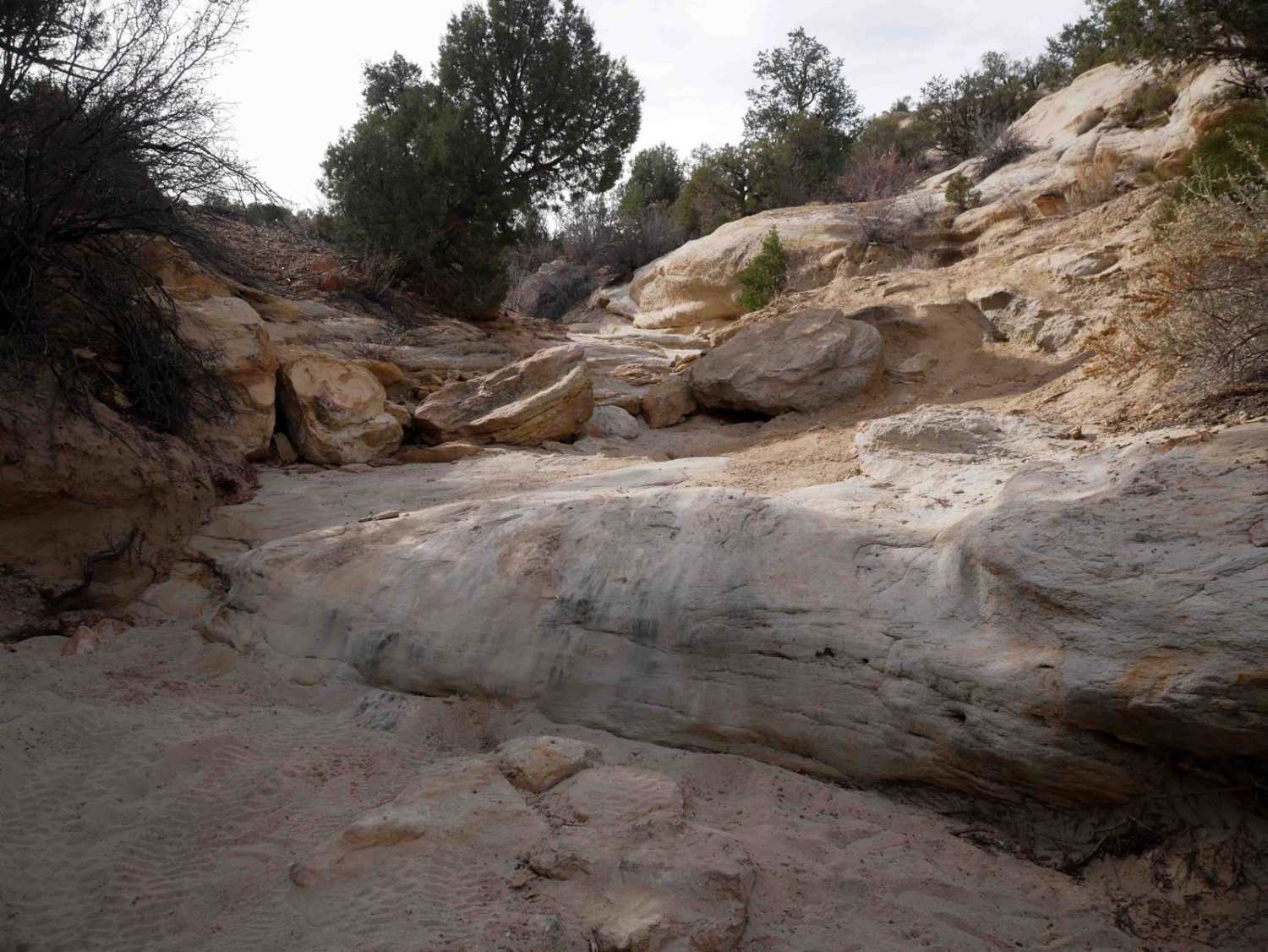 Skinny Canyon 