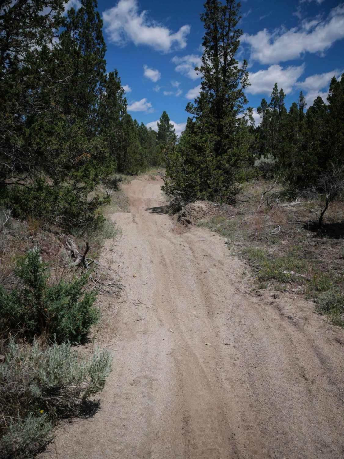 U Trail 
