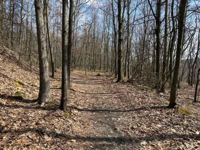Ashland 106