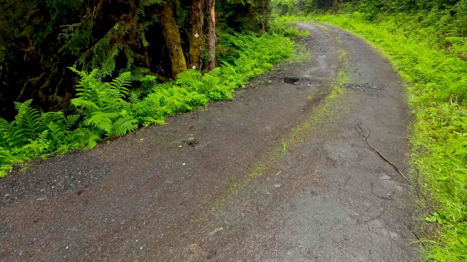 East Sumner Mountain 6281