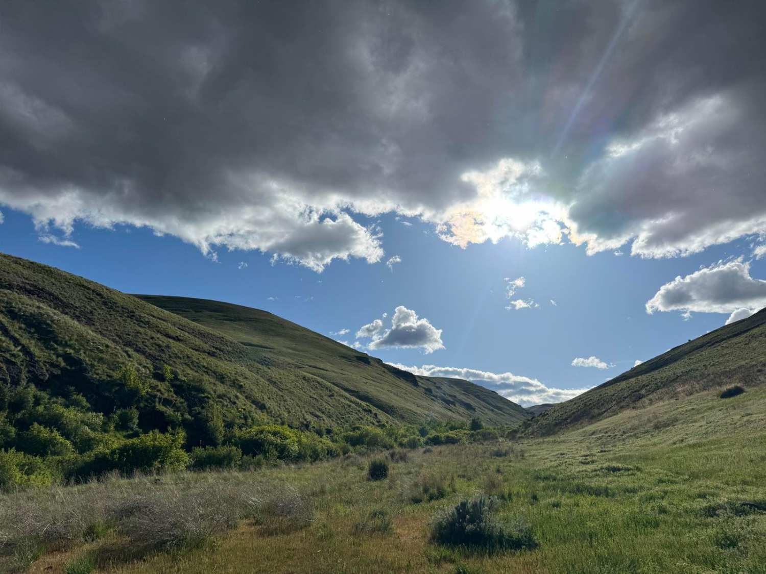 Little Brushy Road via Quilomene Ridge Road 