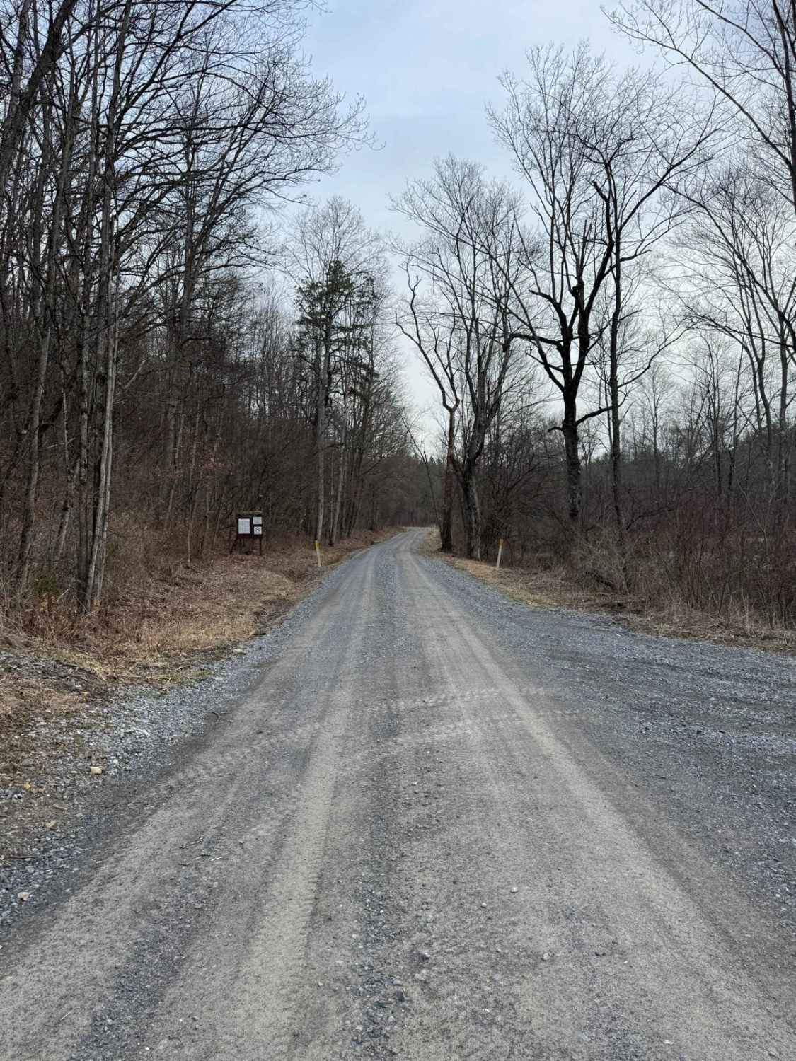 Panther Road