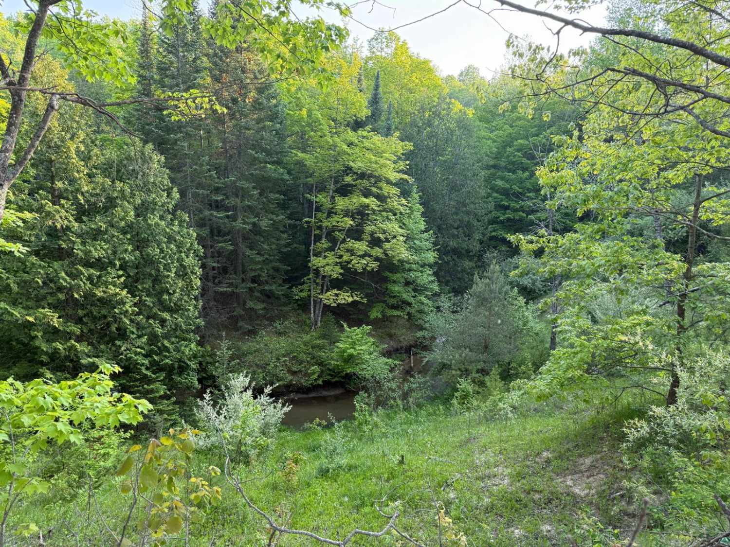 Silver Creek Trail