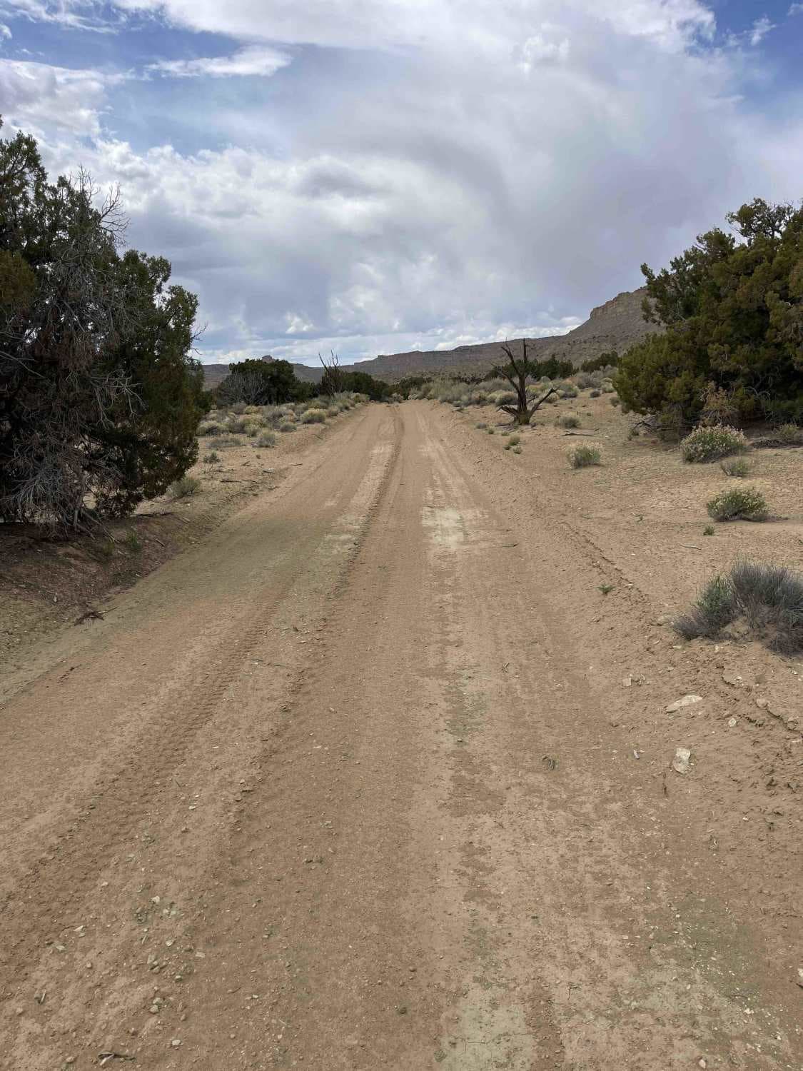 Heads of the Creek Road