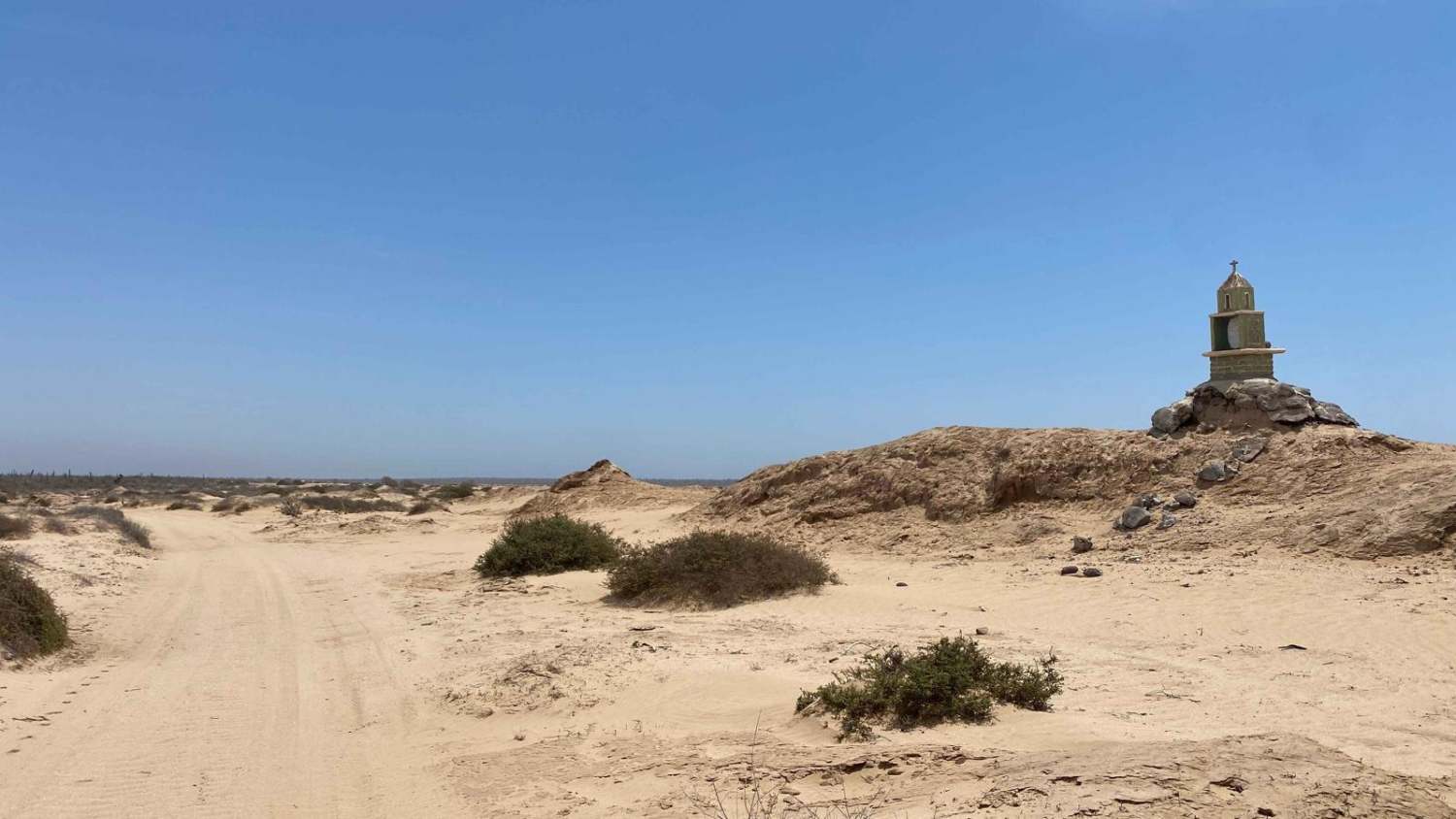 Lomita Amarilla Coastal