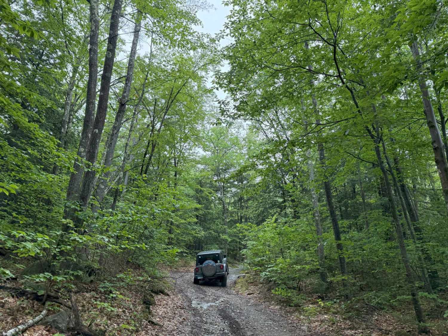 Old Windsor Mountain Road to Sulpher Hill Road