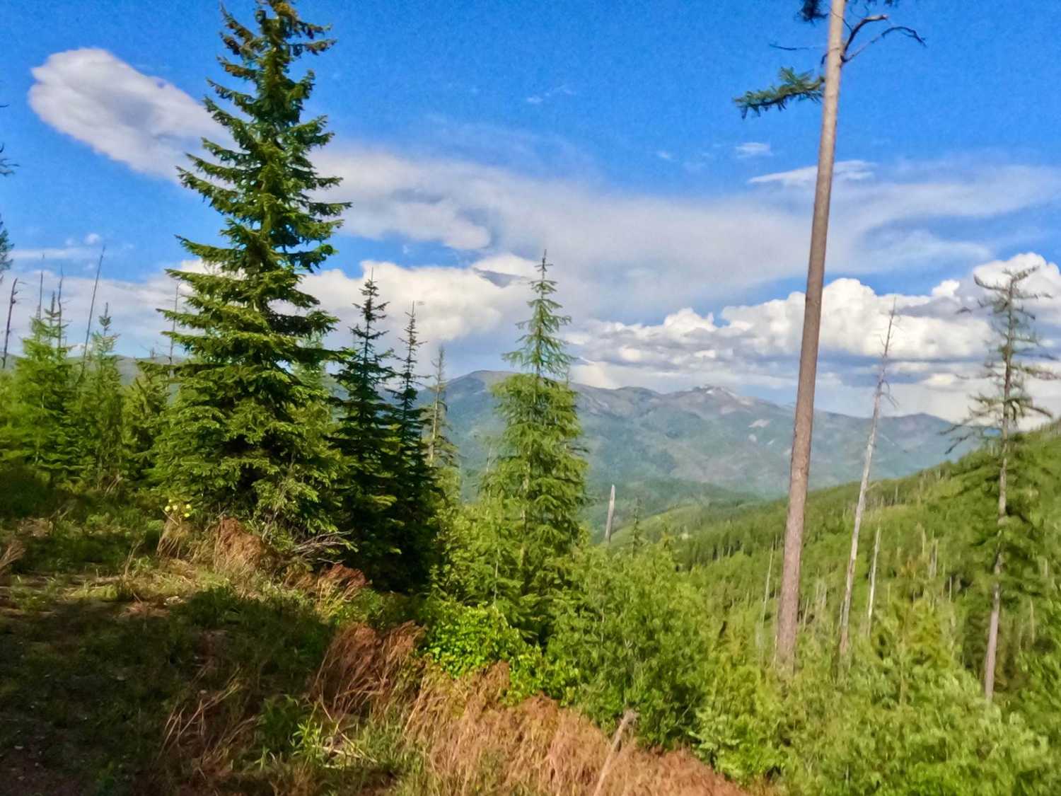 W. Nine Mile Rd (5520)-First Cr Rd (5475)