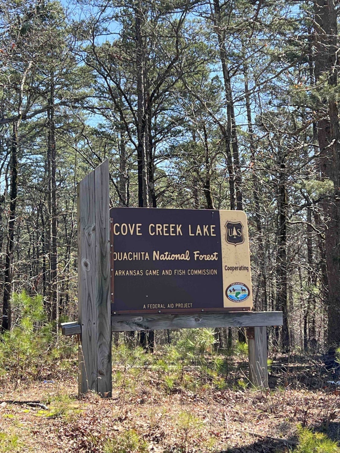 Cove Creek Lake/Link Mountain Road 210