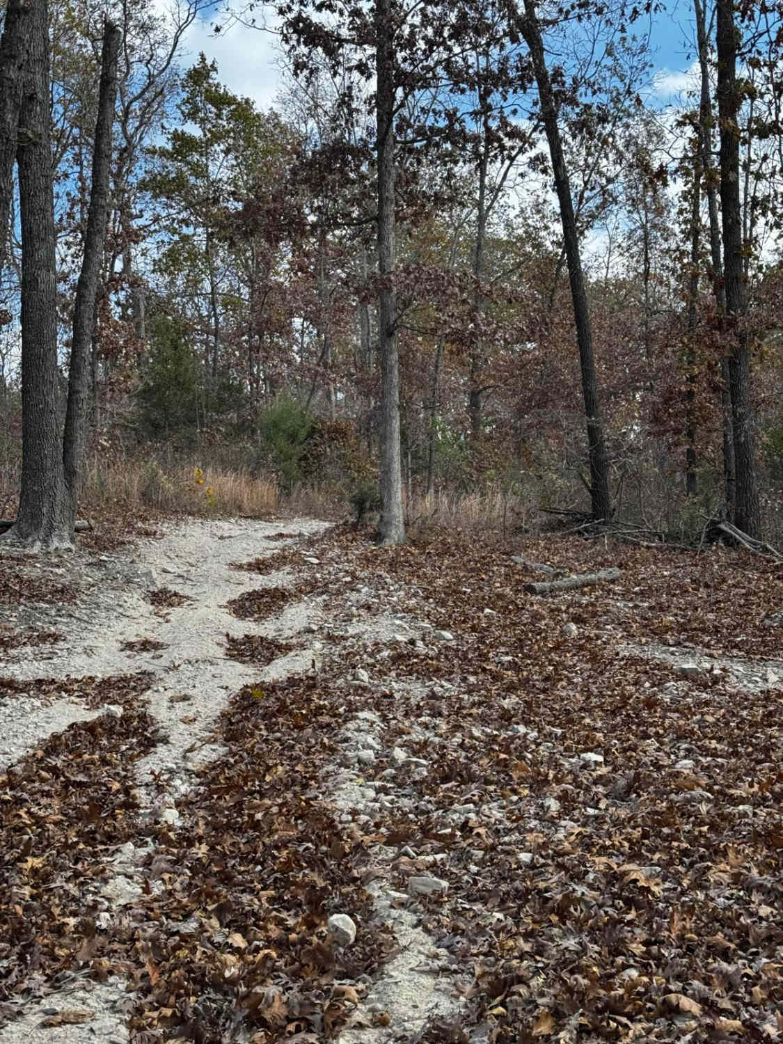 Maple Trail
