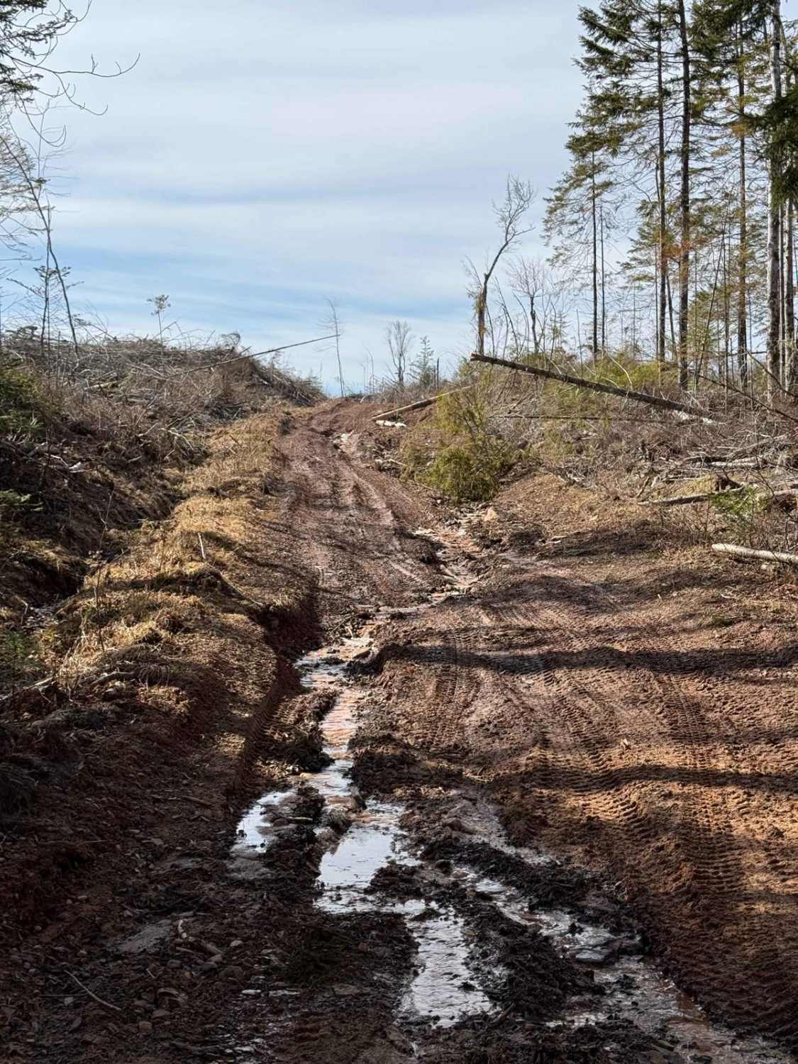 Mill Road