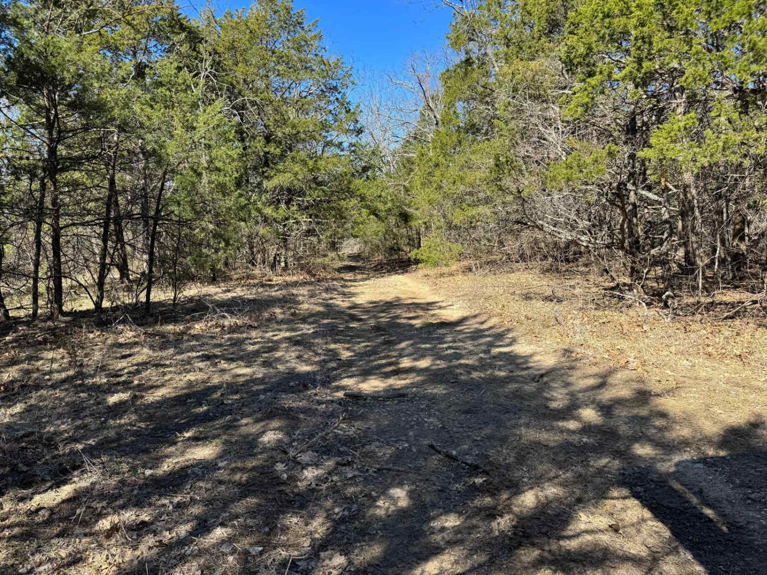 Brushy Ridge Spur D - FRS 606D