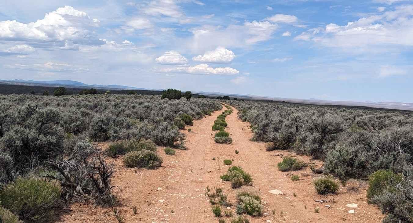 Gunsight Tank Trail - BLM183