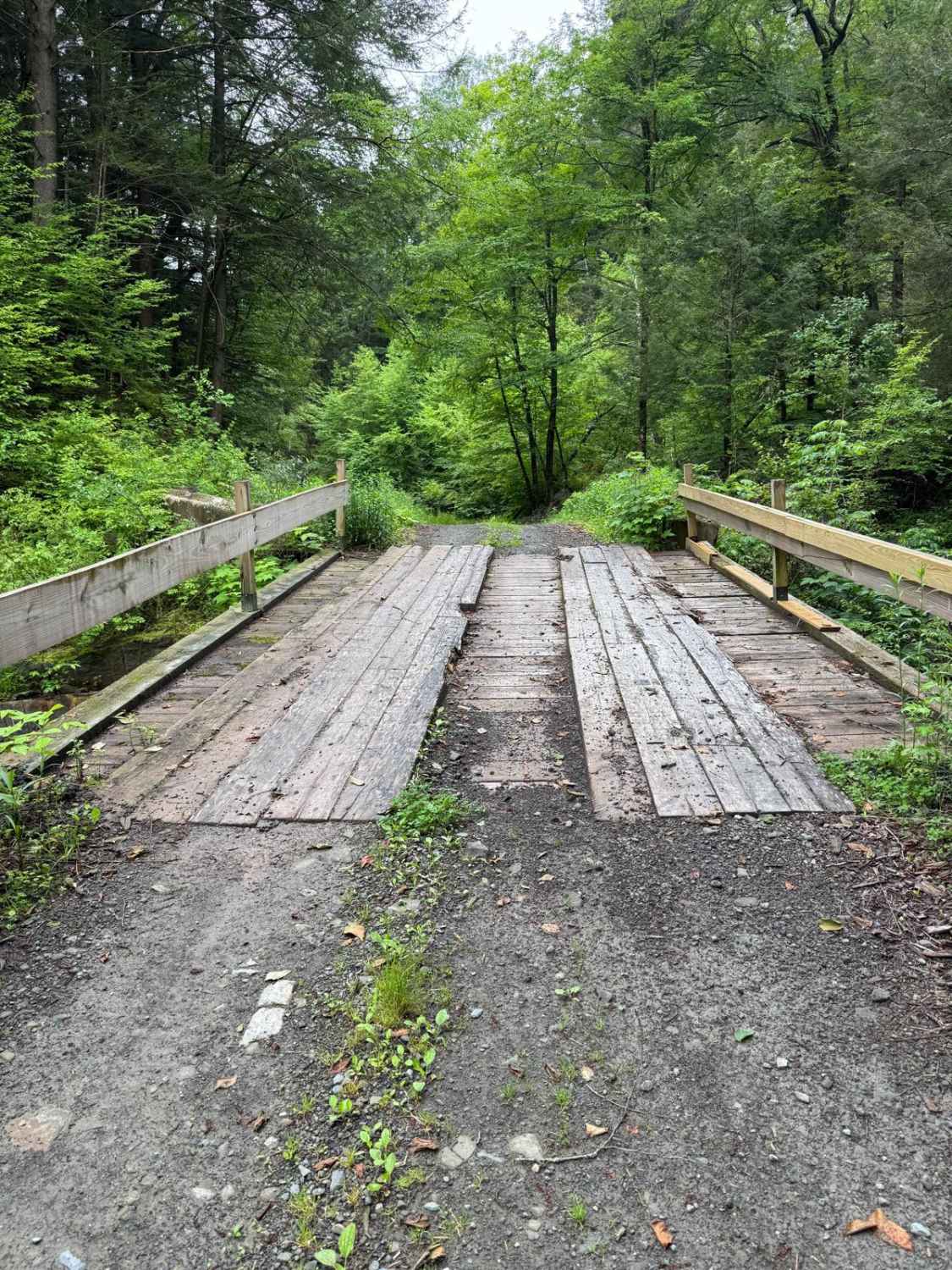 Hoolihan Brook Rd
