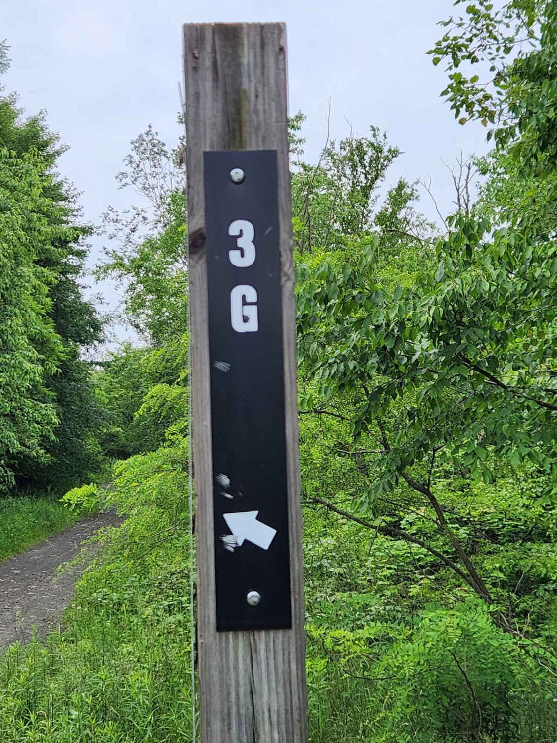 Trail 3G - Rock Run Recreation Area
