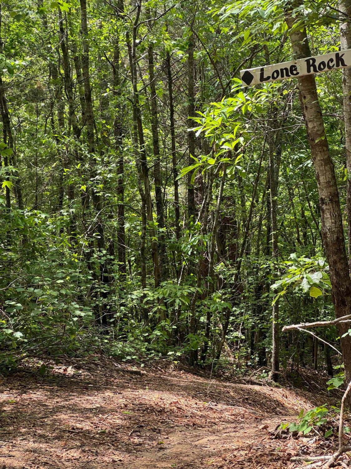 Lone Rock