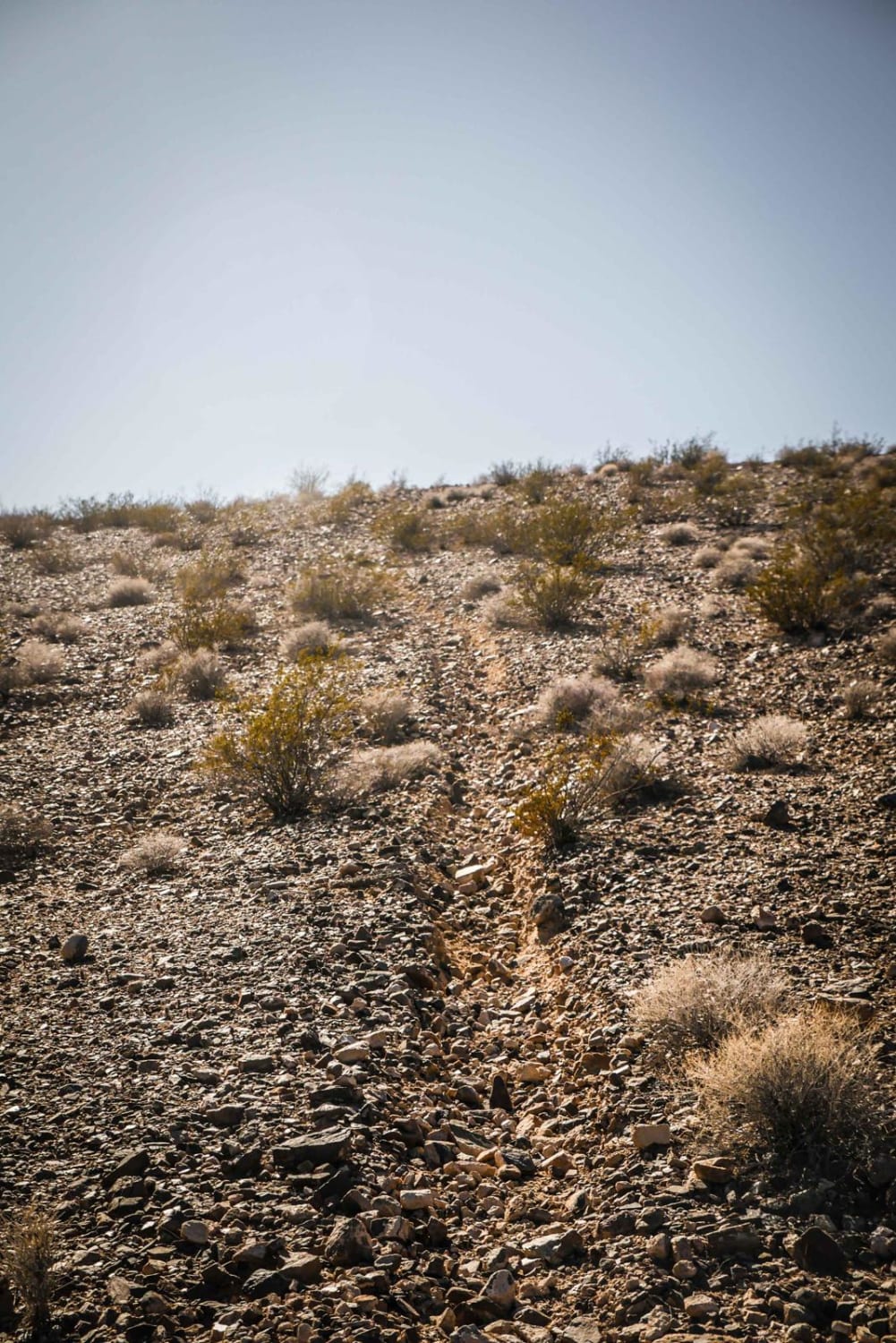 Shorts Trail