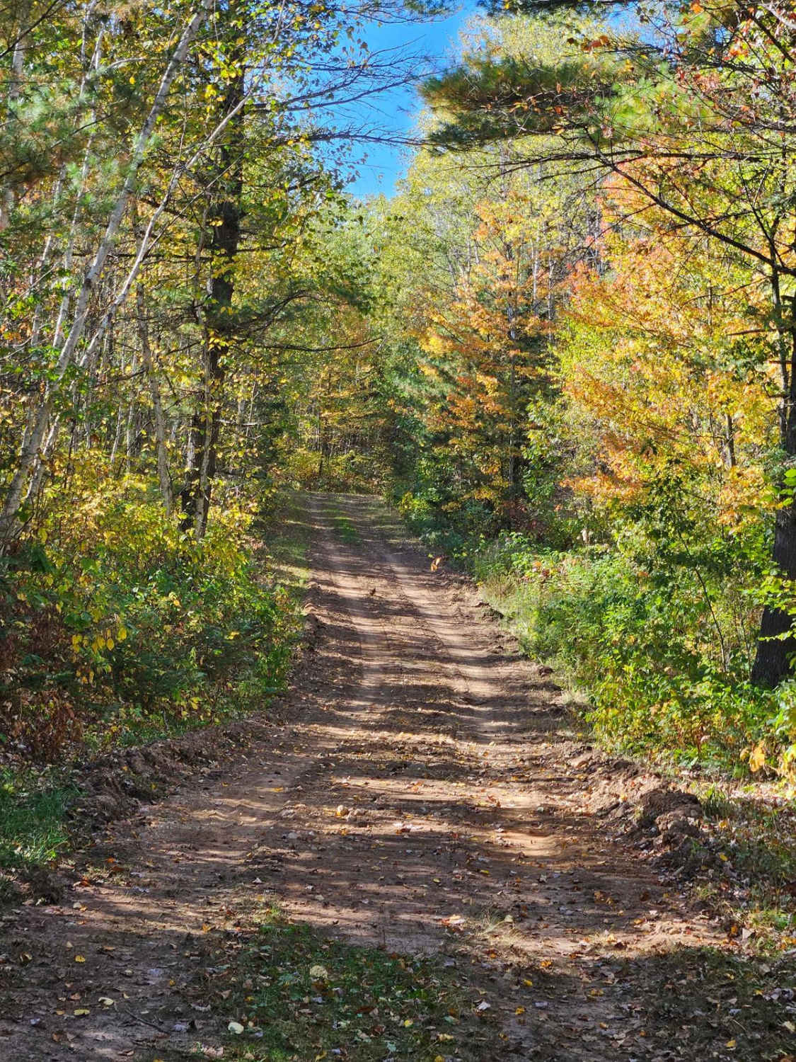 Sandy Summit Trail