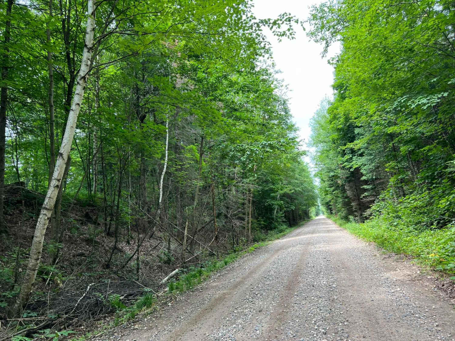 Wolf River State Trail