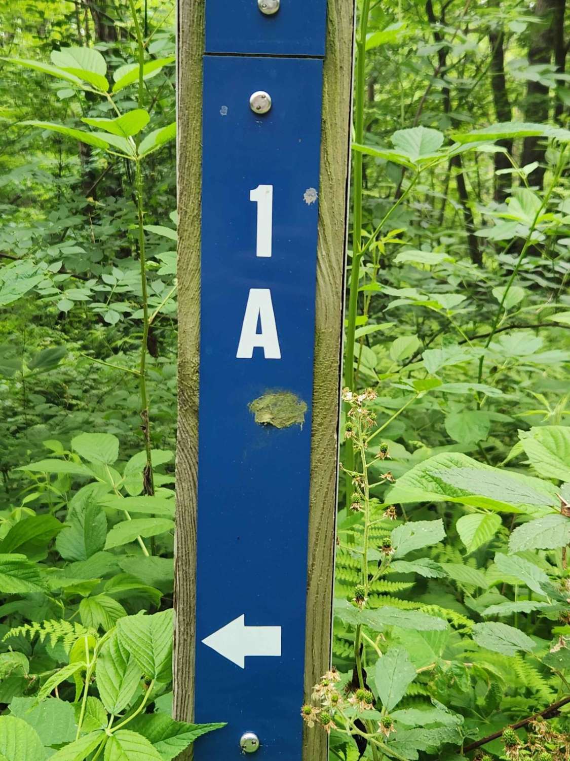 Trail 1A - Rock Run Recreation Area
