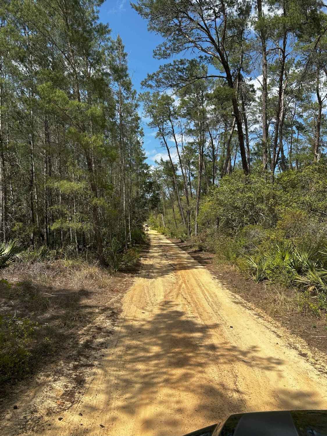 ONF Trail 5-18.4