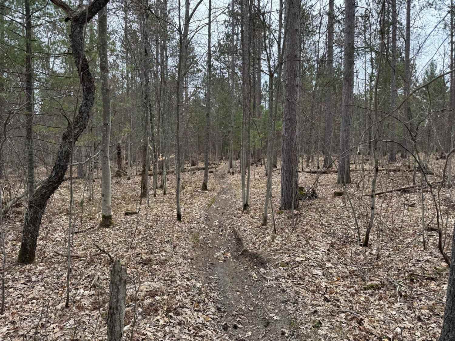 Grand Traverse South