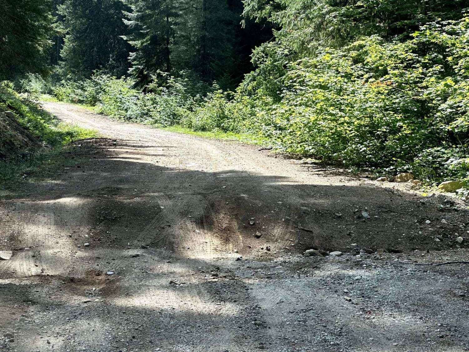 Wenatchee Ridge Overlook Trail