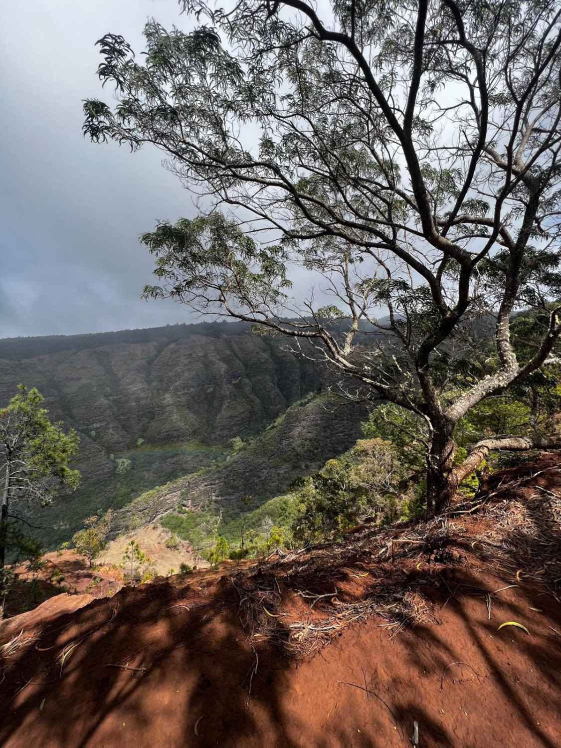 Kauhao Ridge Trail