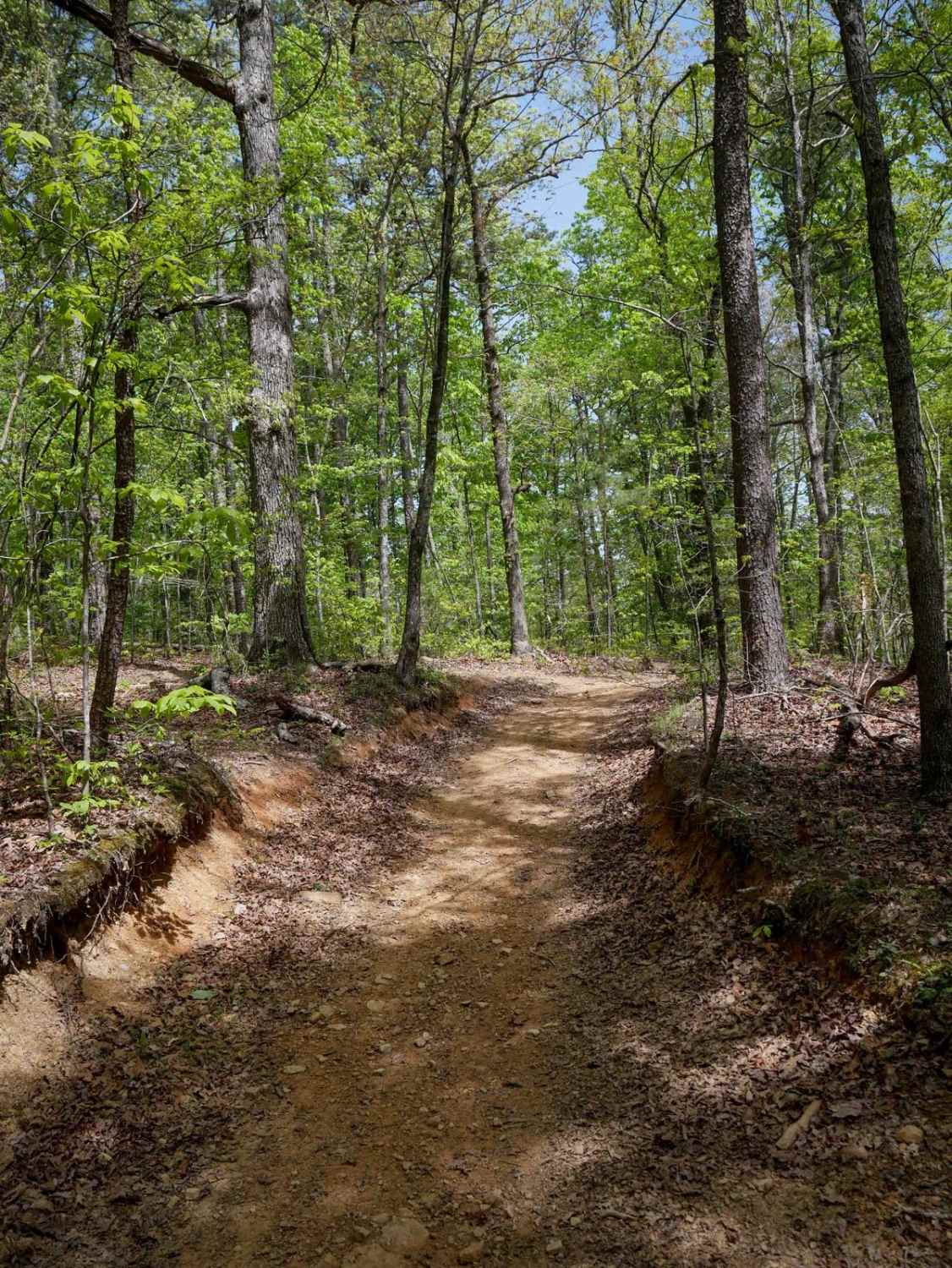 Plantation Ridge