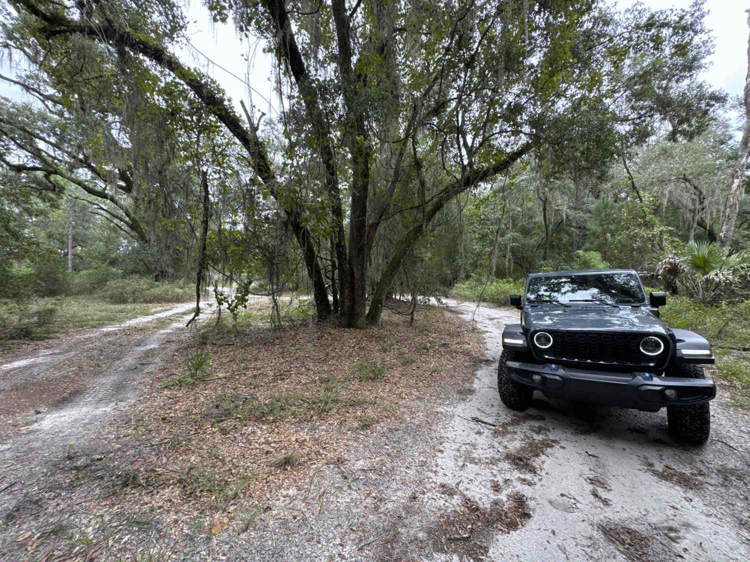 South West Pond Trail - ONF 314 5.7A