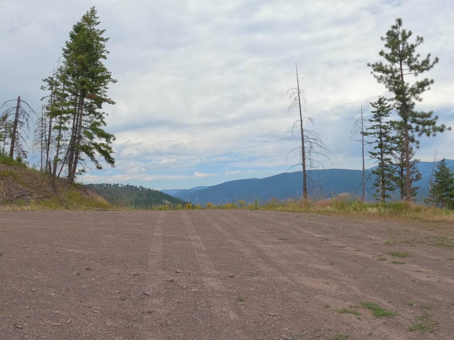 Cougar Creek Loop