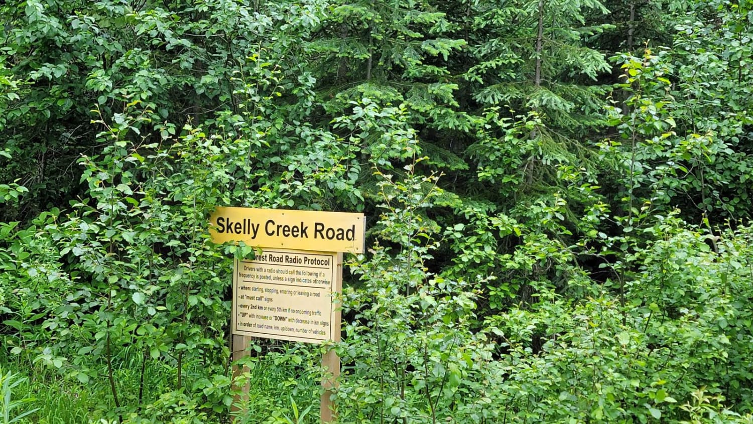 Skelly Creek FSR
