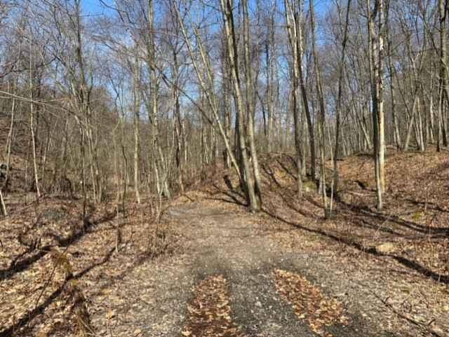 Ashland 175