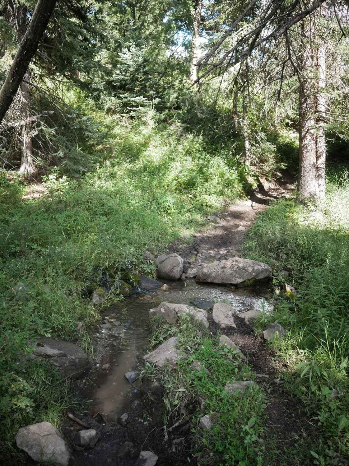Porcupine Creek #34 